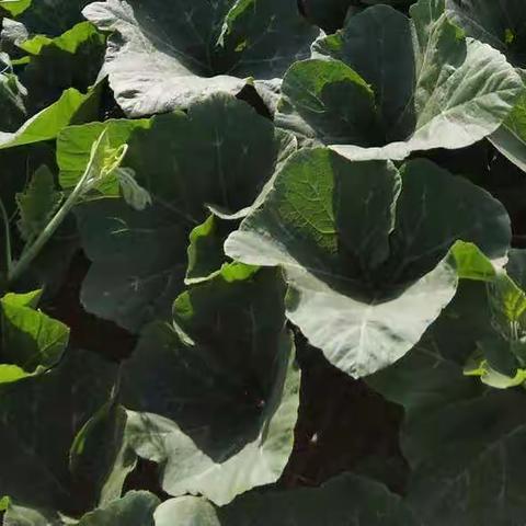 联不联系，都不忘记！