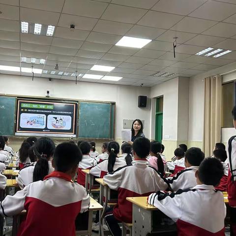 江华思源实验学校小学部心育主题班会教学竞赛