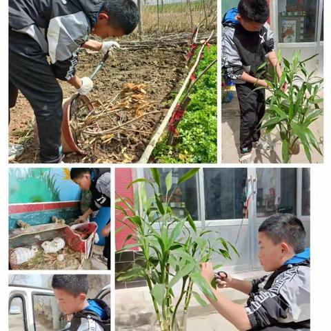 恰同学少年，风华正茂