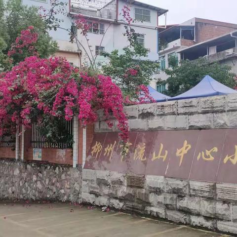 柳州市流山中心小学2022年一年级新生招生公告