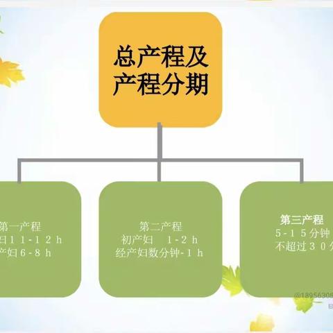 扶风县妇幼保健院产房专病查房—正常分娩的护理