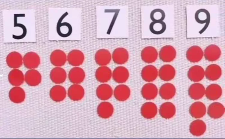 【五台街道中心幼儿园·停课不停学】大班数学——《认识单双数》