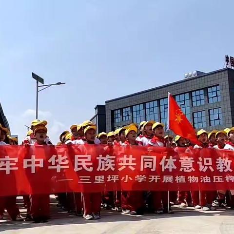 营养全方位，健康零距离——三里坪小学开展植物油压榨劳动实践