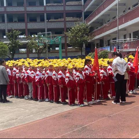 营养全方位，健康零距离——三里坪小学开展植物油压榨劳动实践