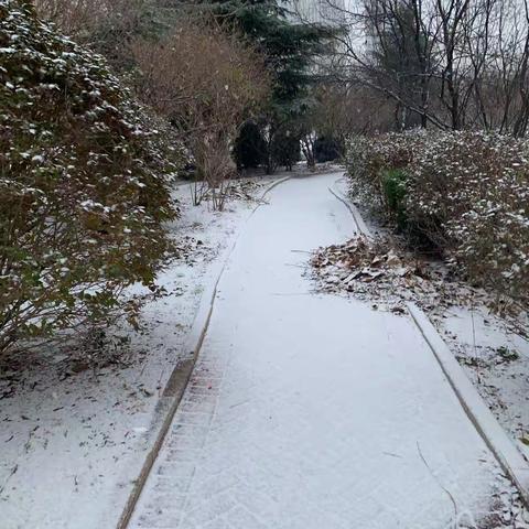 雪地里的小玩家~