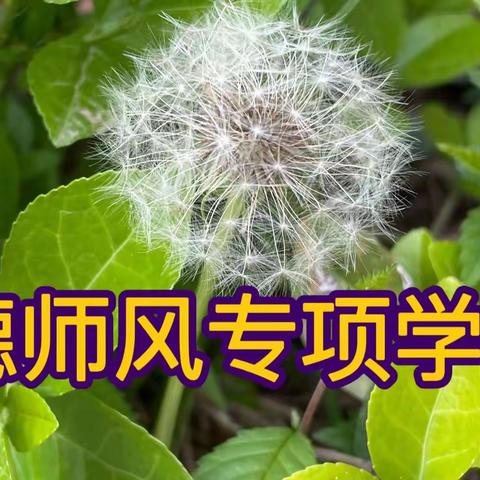 以德修身，恪守师德——原村小学开展师德师风专题学习会