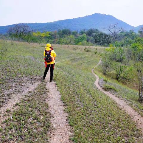 登山赋