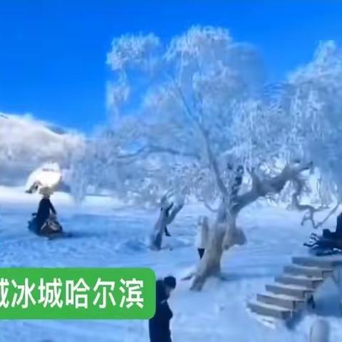 雪域冰城之旅回味无穷