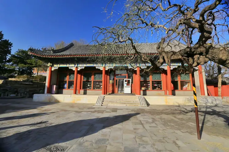 《颐和园》仁寿殿