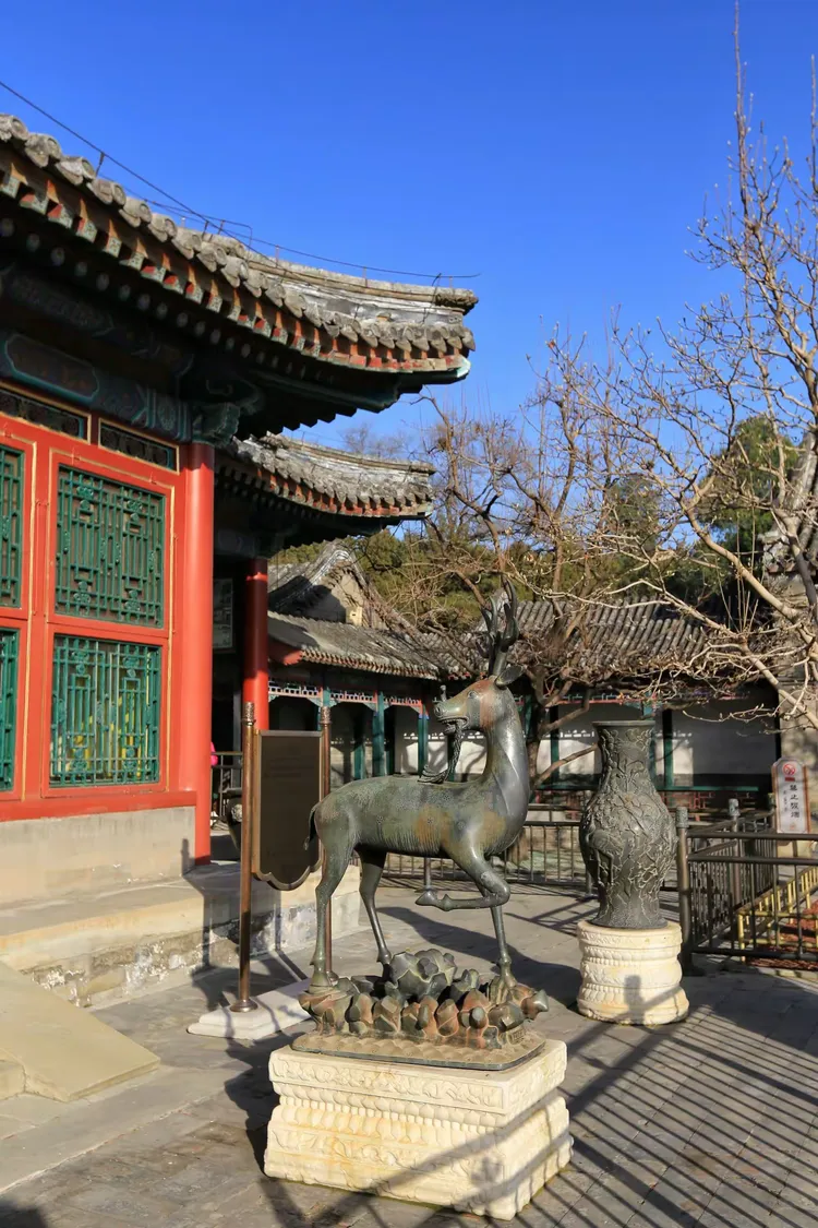 《颐和园》仁寿殿