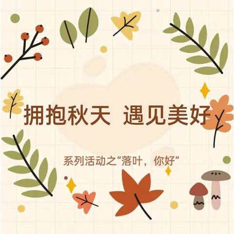 拥抱秋天 🍂 遇见美好之“落叶，你好”