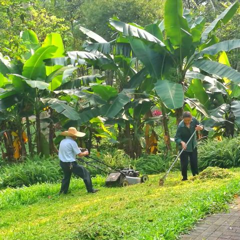 感谢美化广州羊城的尖兵-辛勤的园丁！2018年5月19日