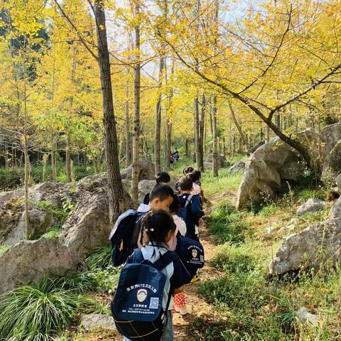 奔赴山野，纵享自然