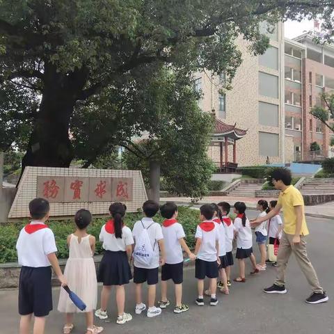 丰富多彩的暑假生活