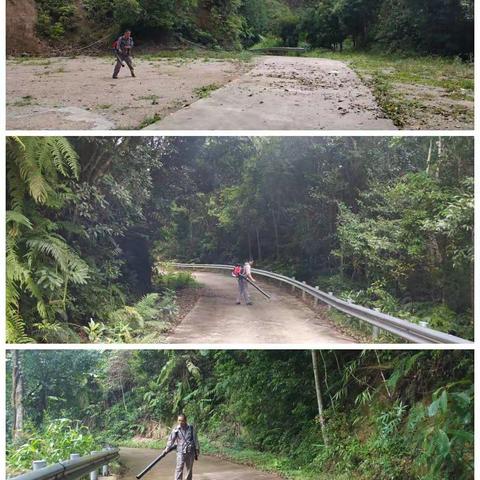 巡护道路清理