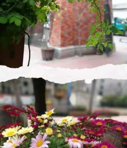 在研讨中学习，在整合中提升——西小主题课程教研之二