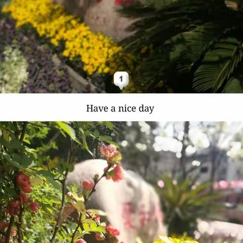 “我们不一样，我们都很棒”——西小一年级成长之路