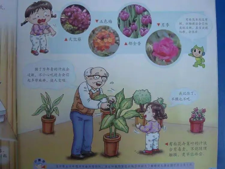 早教中心中二班
安全《植物不能随便摸》