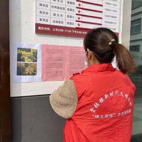 【新时代文明实践 铜山在行动】棠张镇沙庄村开展“加拿大一枝黄花”科普宣传活动