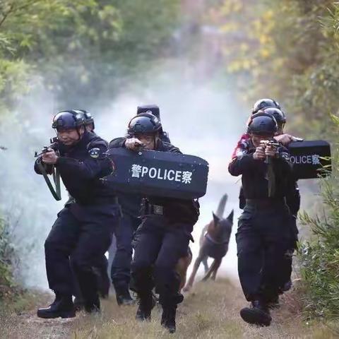 践行平安守护，展现特警风度