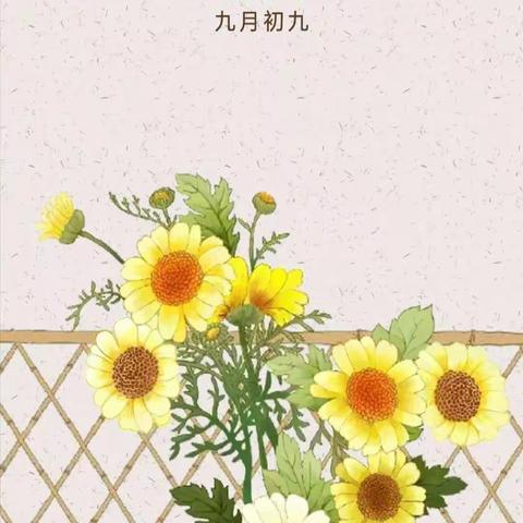 九九重阳日 浓浓敬老情 ——许昌市第二初级中学七二班重阳节尊老敬老爱老活动一览