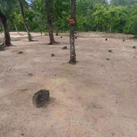 2021.7.22海棠区旅文局工作动态【第1231期】