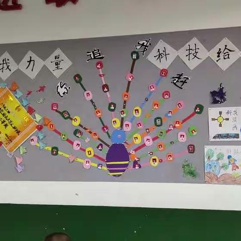 让我们一起走进土桥镇中心小学六三班