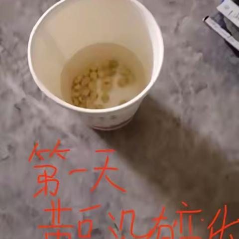 黄豆变形记