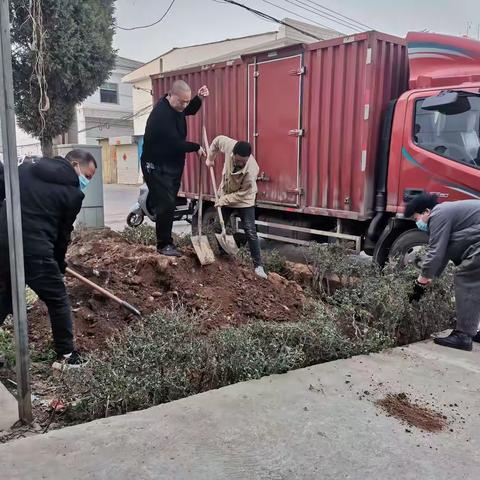 共建生态文明，共享绿色幸福。龙门街道办开展义务植树活动