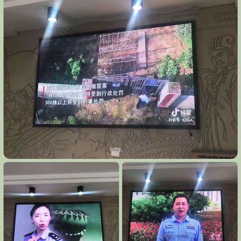 铲毒禁种我们在行动