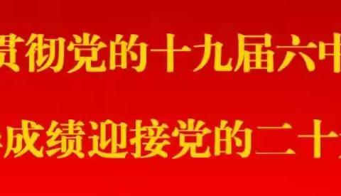 二架子村党支部，村委会开展“心连心”节前慰问活动