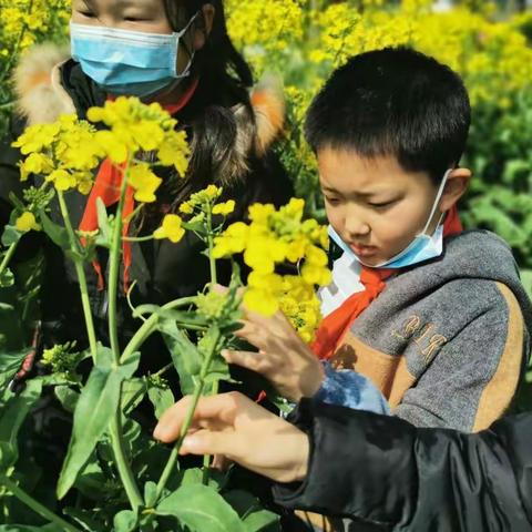 走近大自然，科学探索