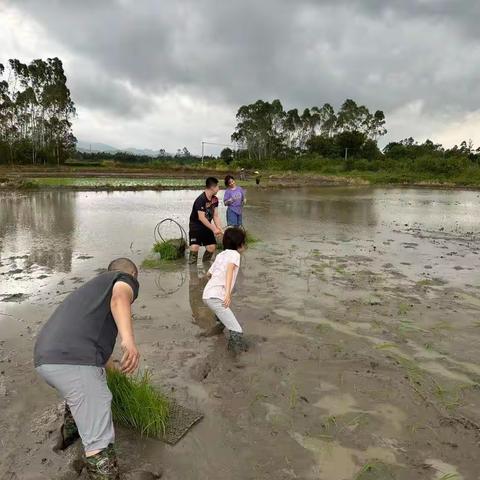 “科普百校行—我与大自然”《广州市二十四节气自然笔记》谢辅宇先生科普讲座观后感