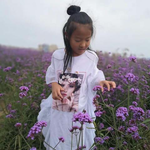 杨轶涵的假期生活