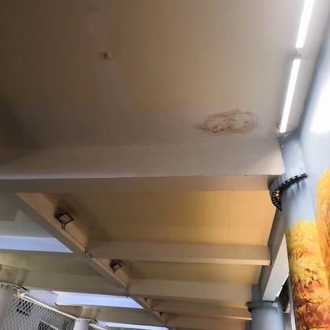 停车场上盘道顶部外观，出现掉漆、颜色不均匀、起皮等现象进行汇总。