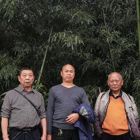 健康徒步、每天打卡:            拍摄谷哥、