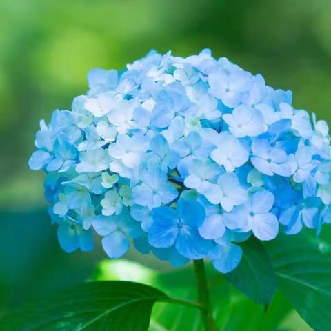 “三月春风暖人心，雷锋精神照我行”实验一小三七班学习雷锋活动剪影