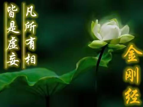 参禅悟道