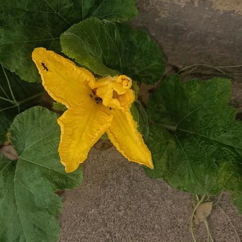 禅意，禅心❤️，禅道