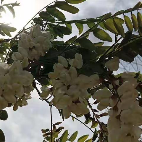 今天是我的结婚纪念日