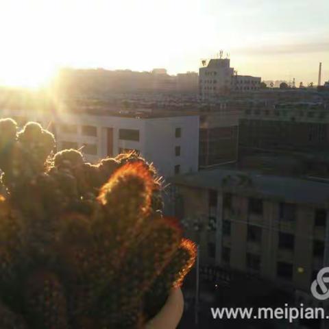 心灵那个鸡汤