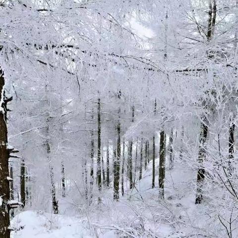 大雪纷飞，看二六班的孩子们，与雪为伴，开展的自娱自乐活动
