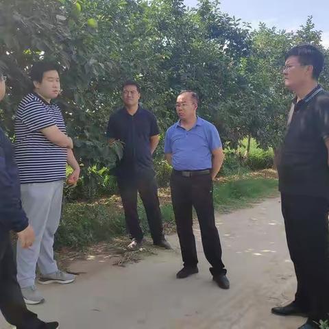 西阎乡：周末工作不停歇，持续加速抓推进