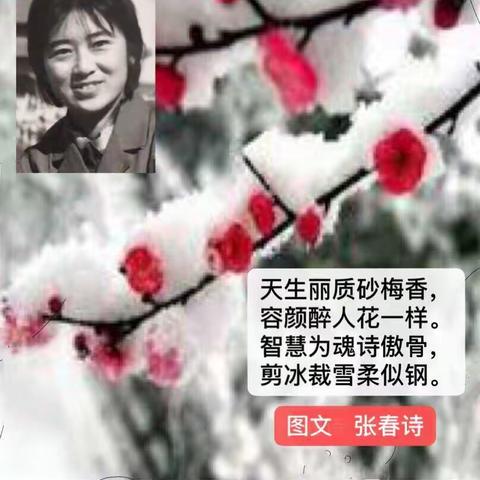 砂梅香自苦寒来。