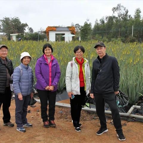 台山两天游团友美照