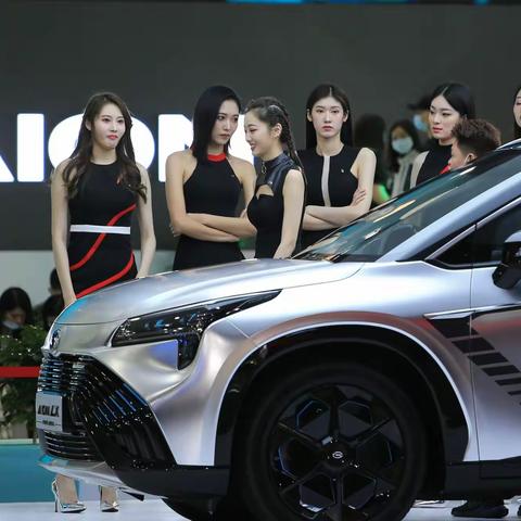 2020年多元素车展