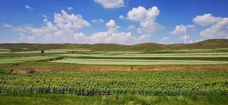 固阳夏日 随处可见的色彩