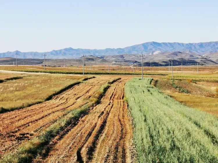 固阳秋色艳 醉是马鞍山