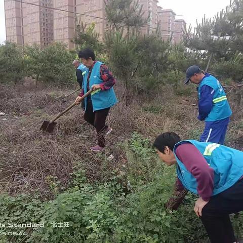 北士旺村人居环境整治工作