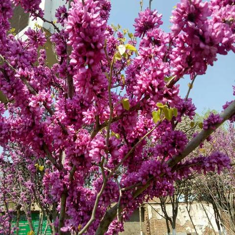 美篇用户的美篇